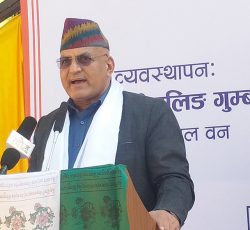 बुद्धले देखाउनुभएको बाटोमा हिँडौँ: मुख्यमन्त्री पाण्डे