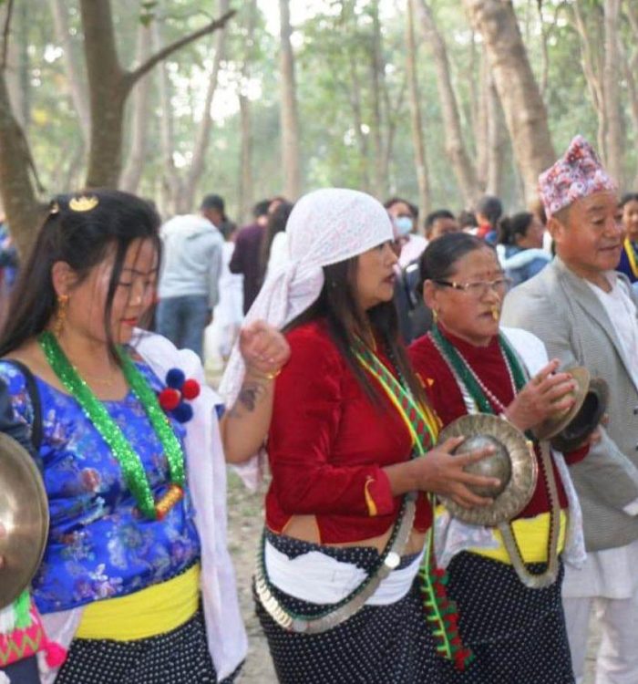 प्रकृतिको पूजा गर्दै उभौली मनाइँदै