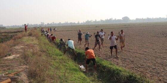 थारु बस्तीमा ‘कुलाही’ : श्रमदानबाटै हुन्छन् निर्माणका काम