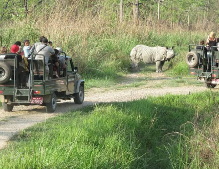 चितवन राष्ट्रिय निकुञ्जमा आजदेखि सफारी बन्द